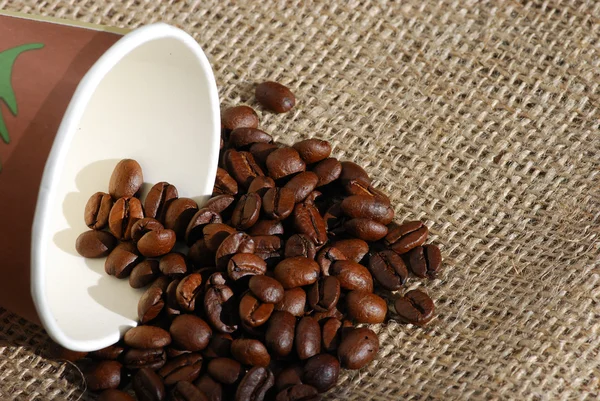 Kaffeebohnen und Pappbecher — Stockfoto