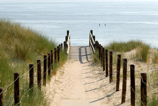 Camino a la playa, Países Bajos — Foto de Stock