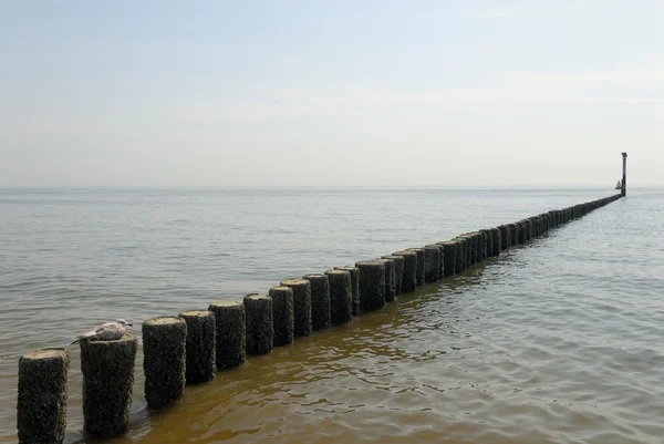 Breakwater in the North Sea in Netherlands — Stock Photo, Image