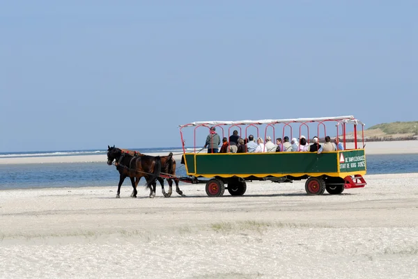 Przewóz zaprzężony w cztery konie z turystów w Holandii — Zdjęcie stockowe