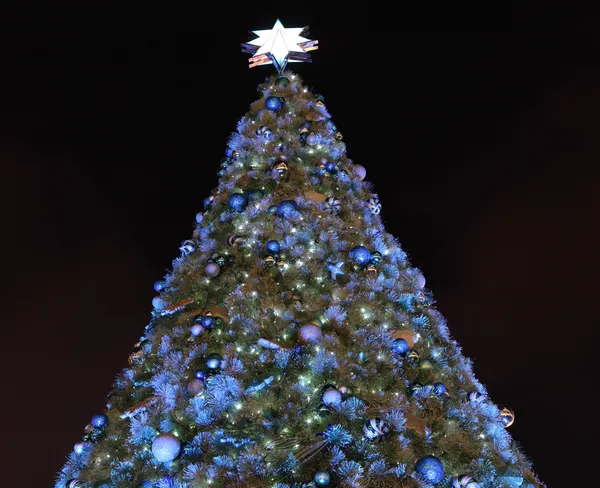 Рождественские елки украшают по ночам — стоковое фото
