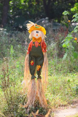 Scarecrow at the meadow clipart