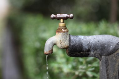 Old water tap in the garden clipart