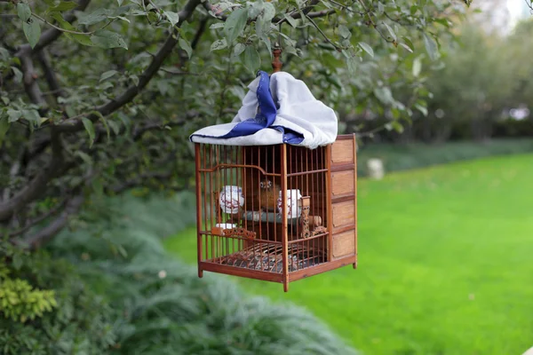 Songbird in cage. Shanghai 's Square Park, China — Stock Photo, Image