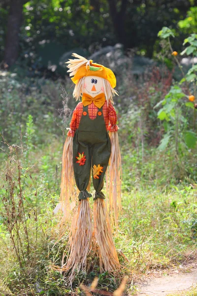 Scarecrow at the meadow — Stock Photo, Image