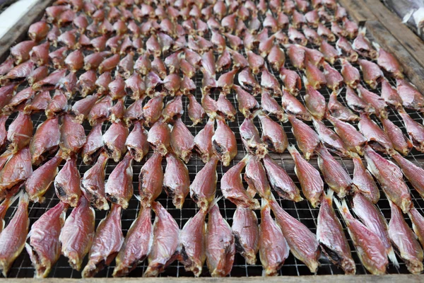 Suszone ryby na targu w wiosce rybackiej chiński — Zdjęcie stockowe