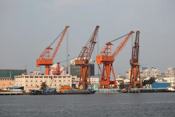 Grúas en el puerto industrial de Shanghai, China —  Fotos de Stock