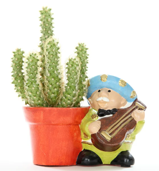 Cactus decorativo y mariachi player — Foto de Stock