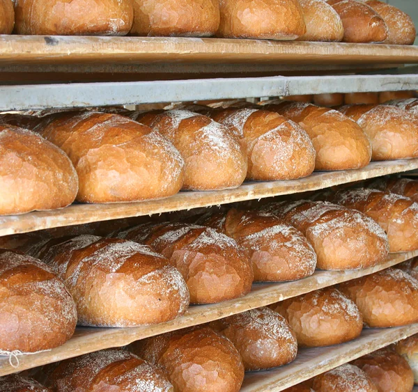 Chleb jedzenie — Zdjęcie stockowe