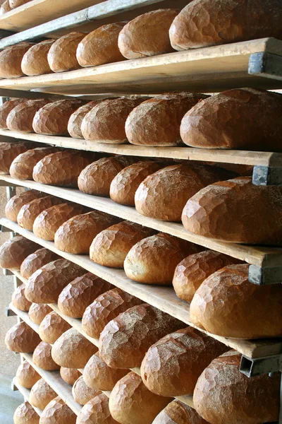 Bröd mat — Stockfoto