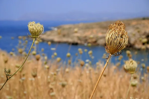 クレタ島ギリシャ — ストック写真