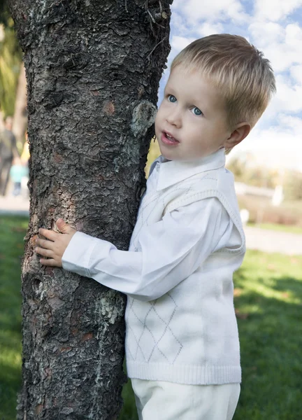 Little boy standing near the tree — Stock Photo, Image
