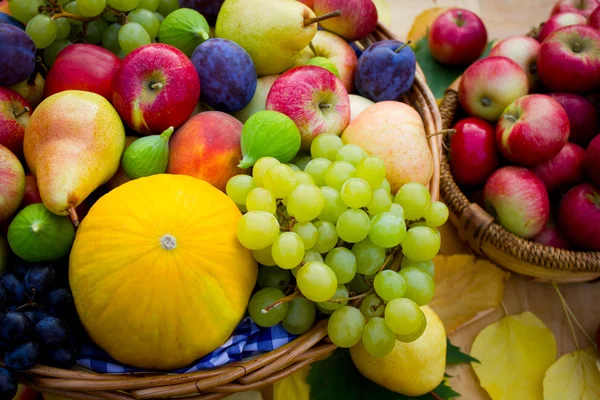 Fruits d'automne — Photo