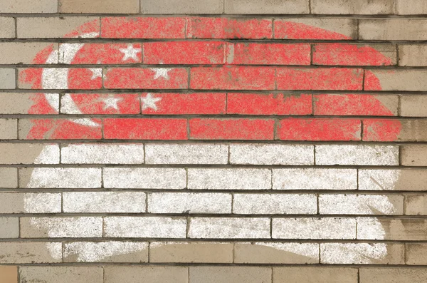 Vlag van singapore op grunge bakstenen muur geschilderd met krijt — Stockfoto