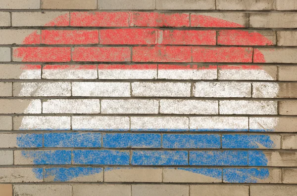 Bandiera dei Paesi Bassi su muro di mattoni grunge dipinta con gesso — Foto Stock