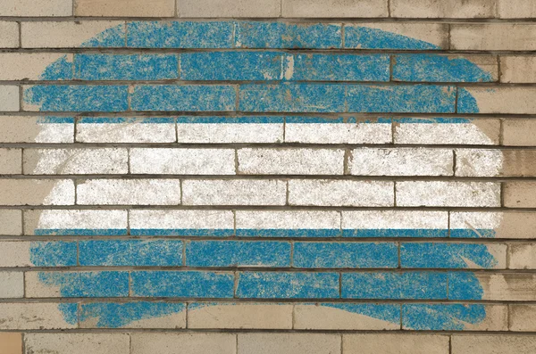Vlag van el salvador op grunge bakstenen muur geschilderd met krijt — Stockfoto
