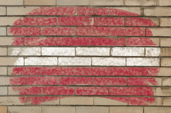 Drapeau de latvia sur un mur de briques grunge peint à la craie — Photo