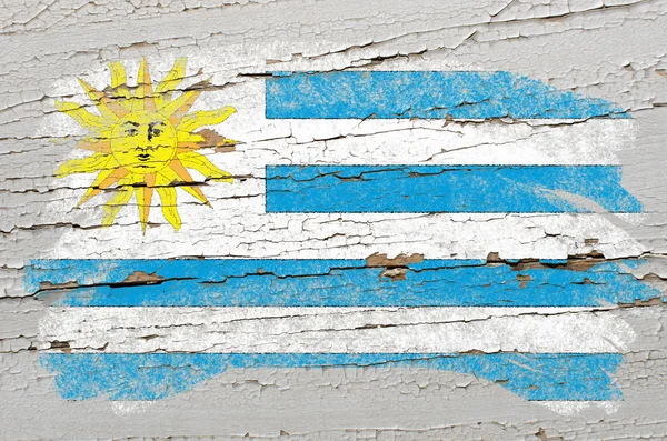 Flaggan av uruguay på grunge trä textur målade med krita — Stockfoto