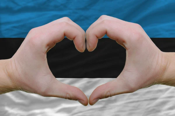 Cœur et geste d'amour montré par les mains sur le drapeau de l'Estonie retour — Photo