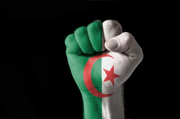 Pugno dipinto con colori di bandiera algeria — Foto Stock