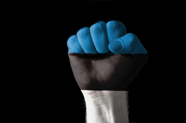エストニアの旗の色で塗られて拳 — ストック写真