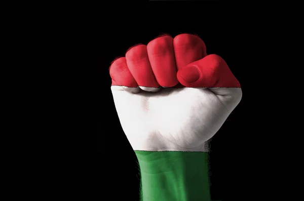 Vuist geschilderd in kleuren van de vlag van Hongarije — Stockfoto