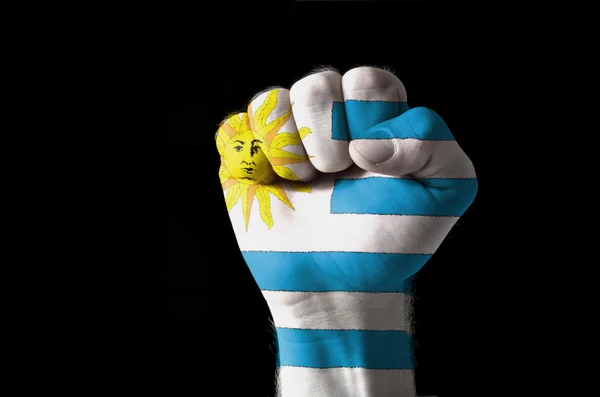 Puño pintado en colores de la bandera uruguay — Foto de Stock