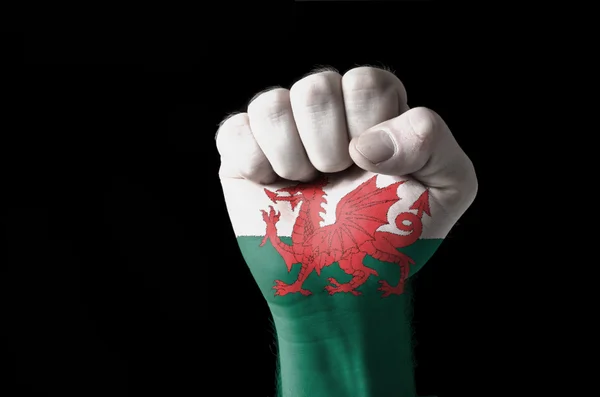 Кулак, окрашенный в цвета флага Уэльса — стоковое фото