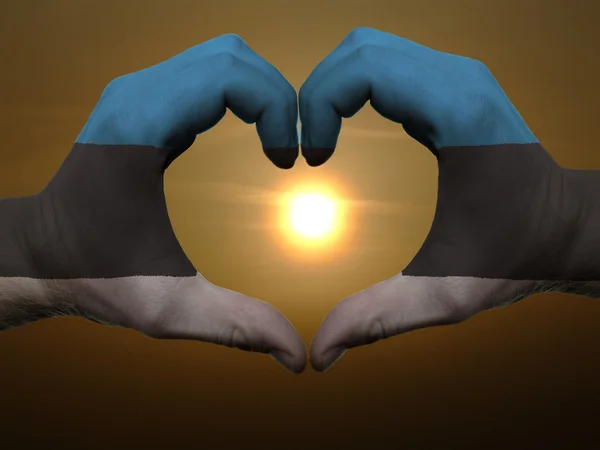 Corazón y gesto de amor con las manos coloreadas en estonia bandera durante b —  Fotos de Stock