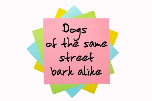 Proverb " Dogs of the same street bark alike" written on bunch o — Stock Photo, Image
