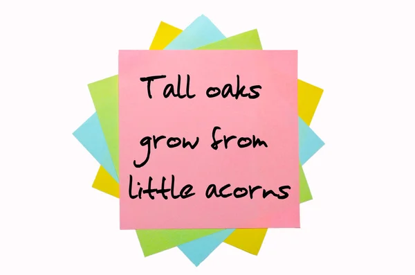 Spreekwoord "hoog eiken groeien uit kleine eikels" geschreven op bos o — Stockfoto