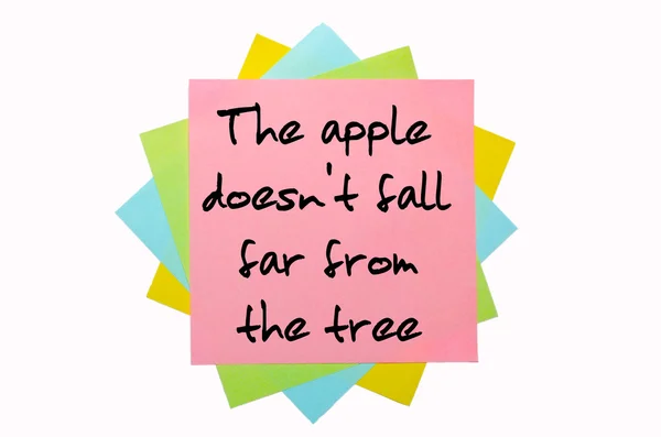 Proverb " The apple doesn't fall far from the tree " written — Stock Photo, Image