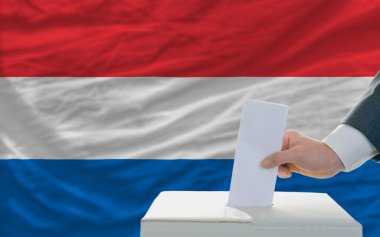 Man voting on elections in netherlands in front of flag clipart