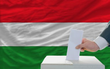 Man voting on elections in hungary in front of flag clipart