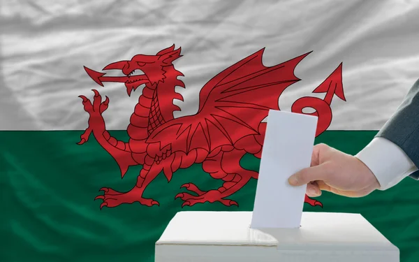 Man röstar om valen i wales framför flagga — Stockfoto