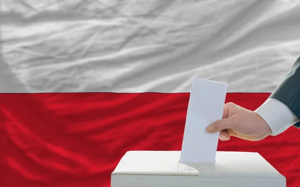 Мужчина голосует на выборах в Польше перед флагом — стоковое фото