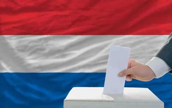 L'uomo che vota per le elezioni nei Paesi Bassi davanti alla bandiera — Foto Stock