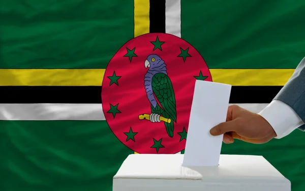 Мужчина голосует на выборах в Доминике перед флагом — стоковое фото