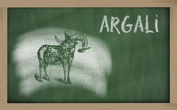 Sketch of argali on blackboard (Ovis ammon) — Stock Photo, Image
