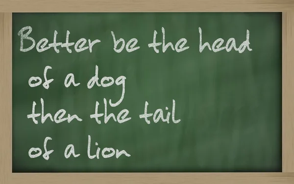 " Lepší bude hlava psa, pak ocas lva "napsaný — Stock fotografie