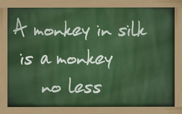 " Opice v hedvábí je opice, která není méně "napsaná na tabuli — Stock fotografie