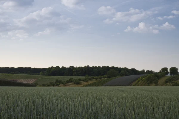 Krajina v jižním západním Německu — Stock fotografie