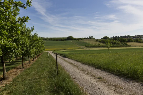 Escena rural en el sur de Alemania — Foto de Stock