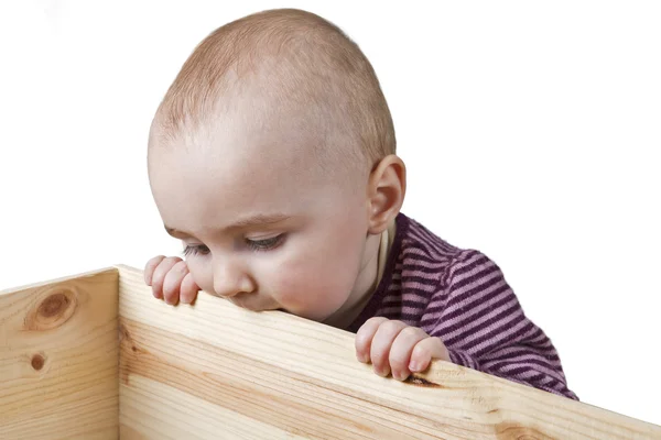 Baby schaut in Holzkiste — Stockfoto