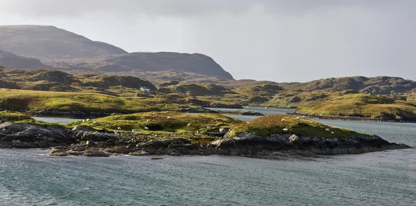 Kleine eilanden aan scotlands kustmenor lenteja y la sombra del árbol — Stockfoto