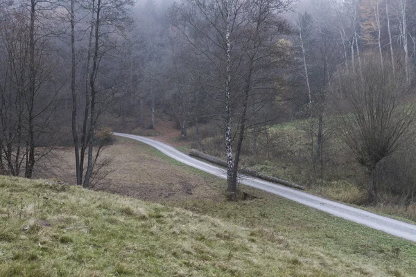 Ländliche Landschaft in Süddeutschland — Stockfoto