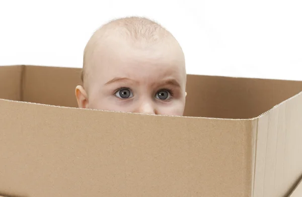 Criança em caixa de papelão — Fotografia de Stock