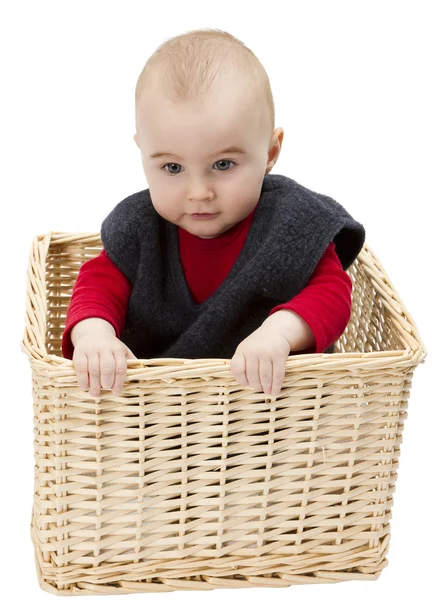 Μικρό παιδί σε wickerbasket — Φωτογραφία Αρχείου