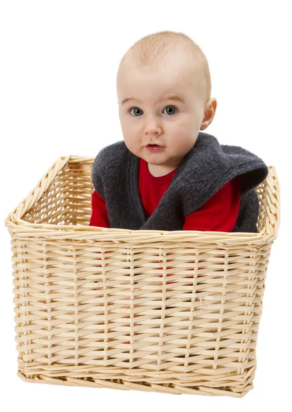 Toddler in wickerbasket — Stock Photo, Image
