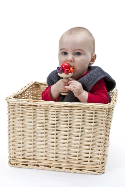Kleinkind im Weidenkorb — Stockfoto